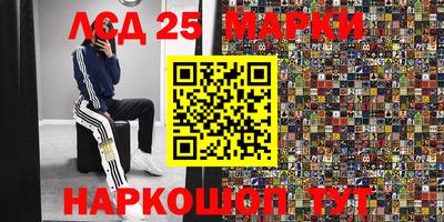 ПСИЛОЦИБИНОВЫЕ ГРИБЫ Заводоуковск