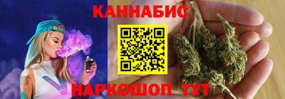 шишки Заволжье