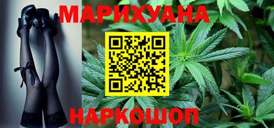 шишки Заволжье