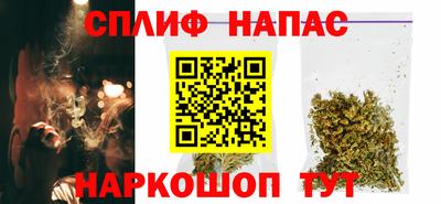 шишки Заволжье