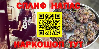 шишки Заволжье
