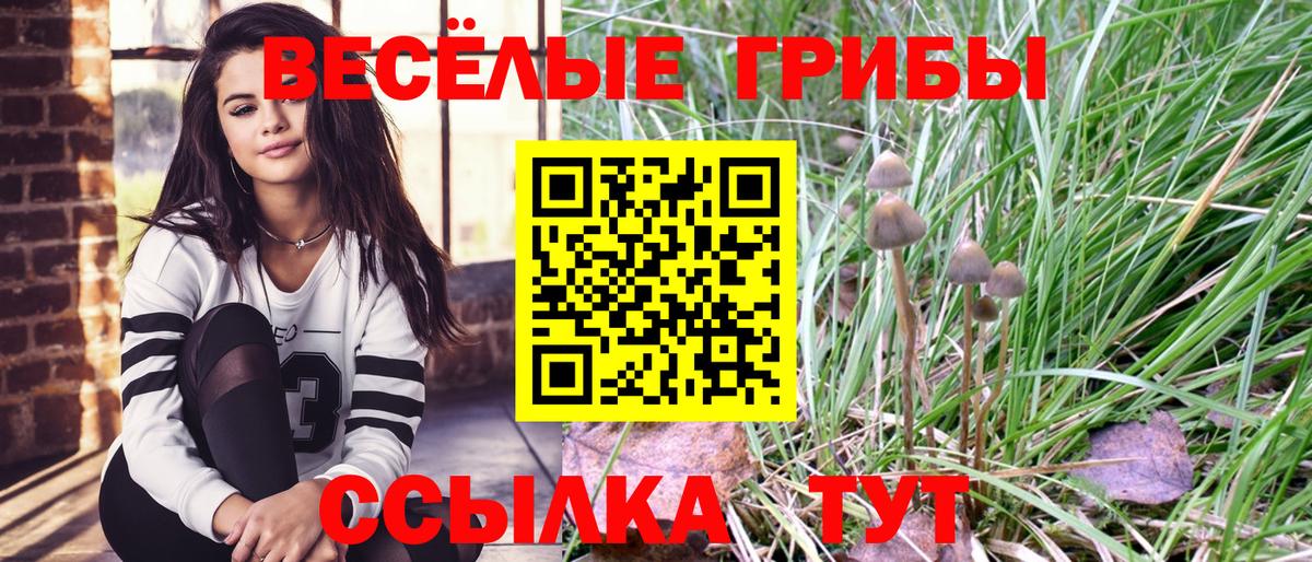 Псилоцибиновые грибы Psilocybine cubensis Кумертау